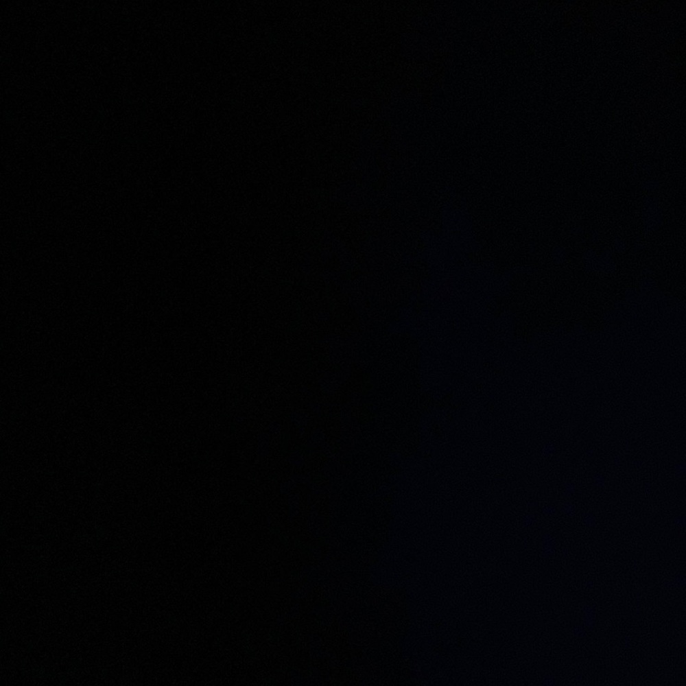 IGNORE